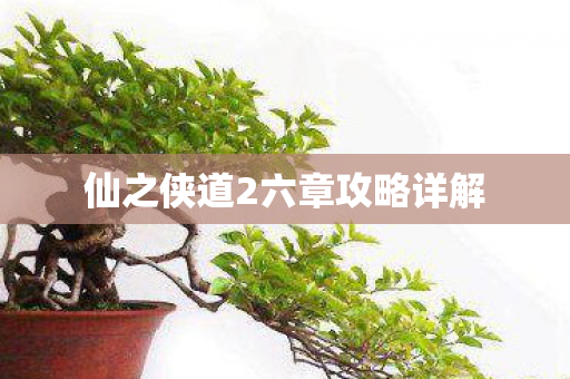 仙之侠道2六章攻略详解