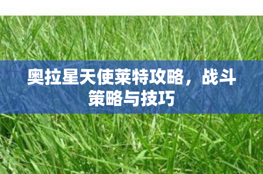 奥拉星天使莱特攻略，战斗策略与技巧