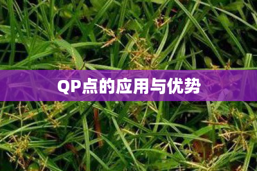 QP点的应用与优势