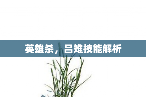 英雄杀，吕雉技能解析