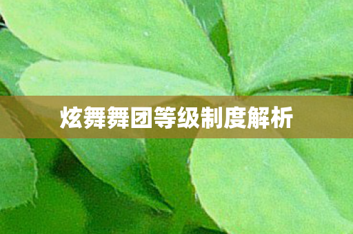 炫舞舞团等级制度解析