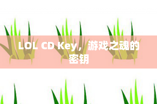 LOL CD Key，游戏之魂的密钥