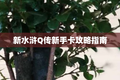 新水浒Q传新手卡攻略指南