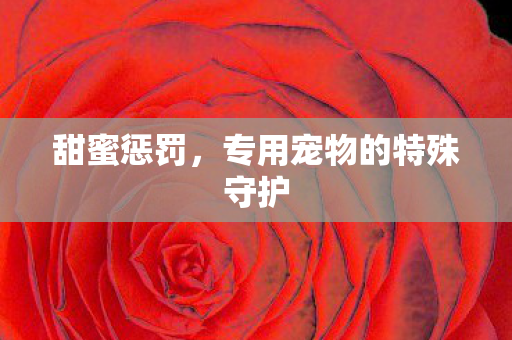 甜蜜惩罚，专用宠物的特殊守护