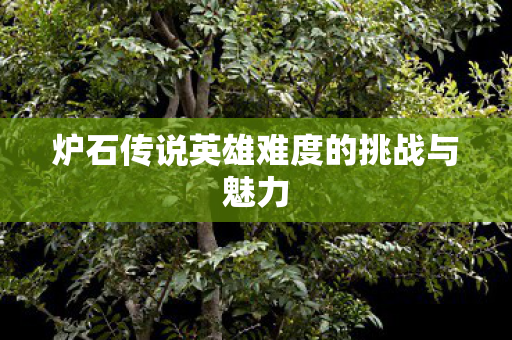 炉石传说英雄难度的挑战与魅力