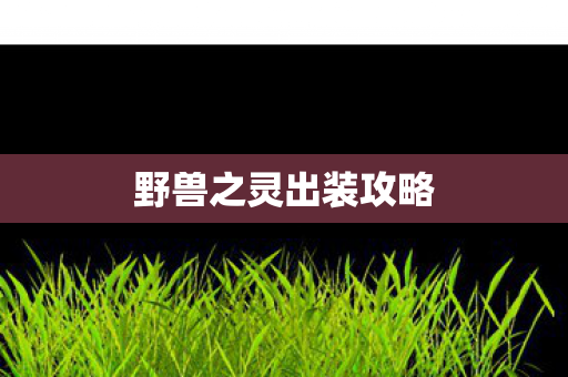 野兽之灵出装攻略