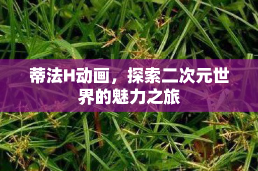 蒂法H动画，探索二次元世界的魅力之旅