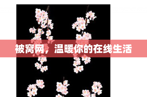 被窝网，温暖你的在线生活