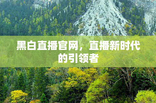黑白直播官网，直播新时代的引领者
