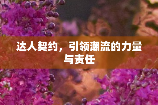 达人契约，引领潮流的力量与责任