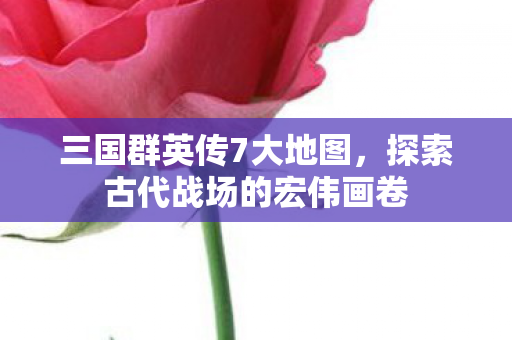 三国群英传7大地图，探索古代战场的宏伟画卷