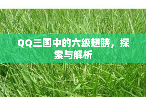 QQ三国中的六级翅膀，探索与解析