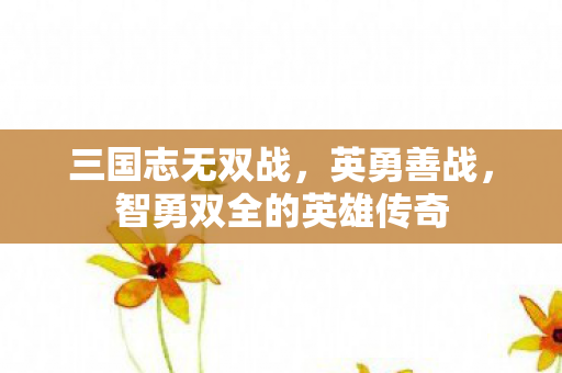 三国志无双战，英勇善战，智勇双全的英雄传奇