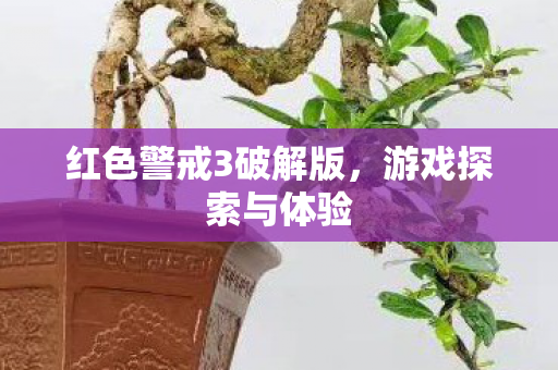 红色警戒3破解版，游戏探索与体验