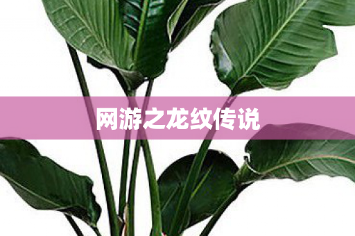 网游之龙纹传说