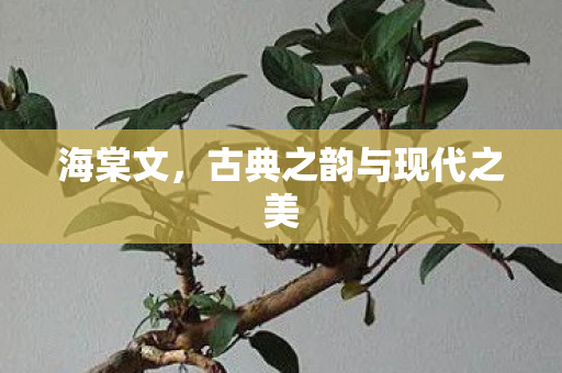 海棠文，古典之韵与现代之美