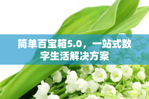 简单百宝箱5.0，一站式数字生活解决方案