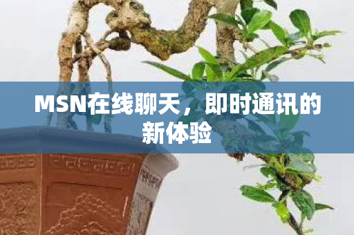 MSN在线聊天，即时通讯的新体验