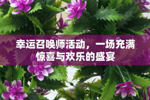 幸运召唤师活动，一场充满惊喜与欢乐的盛宴