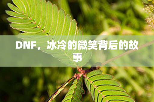 DNF，冰冷的微笑背后的故事