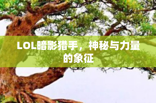 LOL暗影猎手，神秘与力量的象征