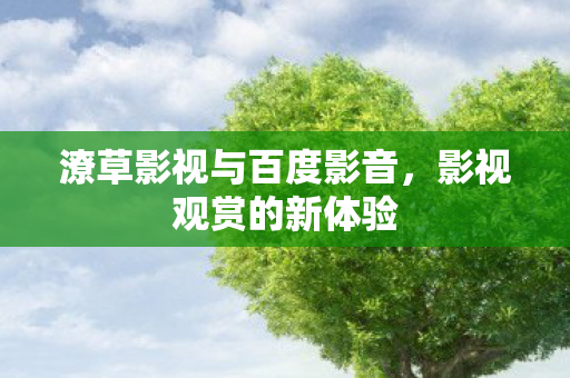 潦草影视与百度影音，影视观赏的新体验