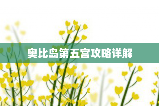 奥比岛第五宫攻略详解