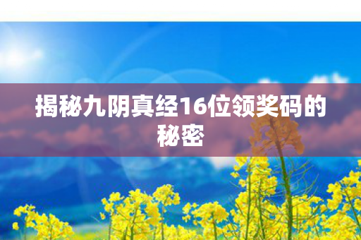 揭秘九阴真经16位领奖码的秘密