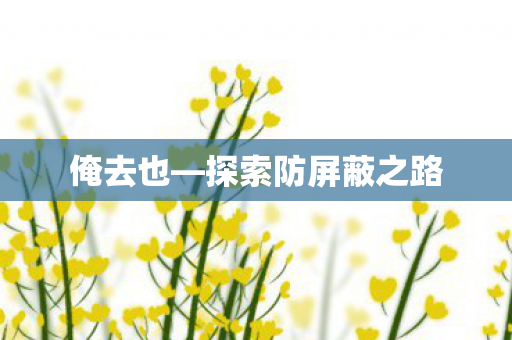 俺去也—探索防屏蔽之路