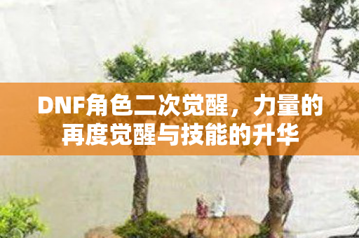 DNF角色二次觉醒，力量的再度觉醒与技能的升华