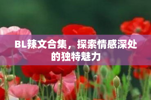 BL辣文合集，探索情感深处的独特魅力