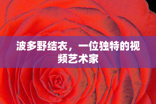 波多野结衣，一位独特的视频艺术家