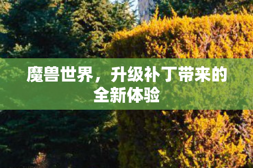 魔兽世界，升级补丁带来的全新体验