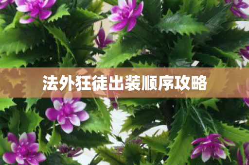 法外狂徒出装顺序攻略