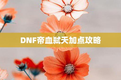 DNF帝血弑天加点攻略