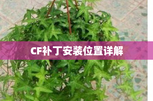 CF补丁安装位置详解