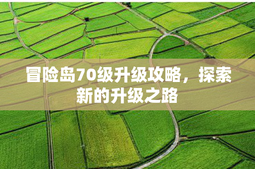 冒险岛70级升级攻略，探索新的升级之路