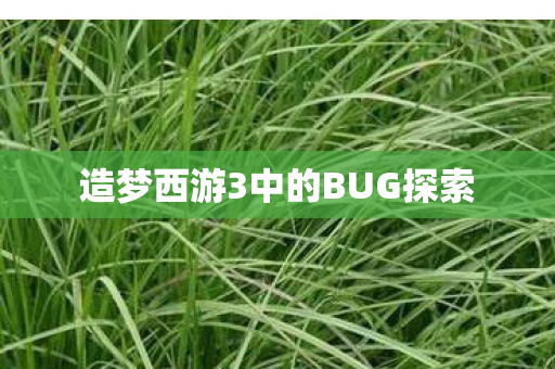 造梦西游3中的BUG探索
