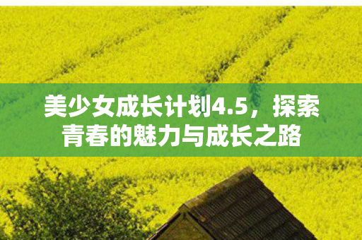 美少女成长计划4.5，探索青春的魅力与成长之路