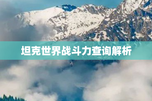 坦克世界战斗力查询解析