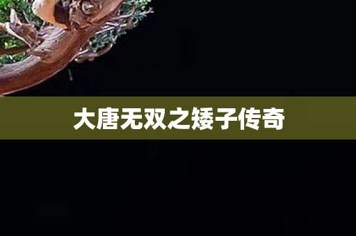 大唐无双之矮子传奇