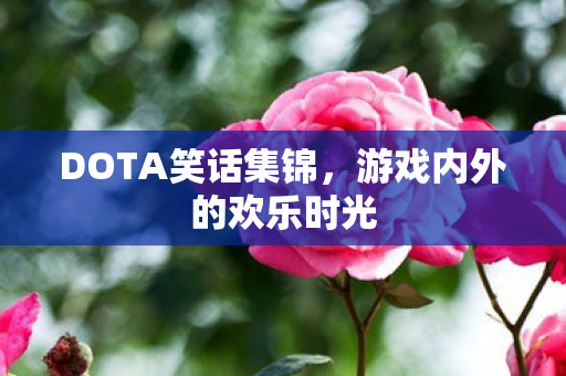 DOTA笑话集锦，游戏内外的欢乐时光
