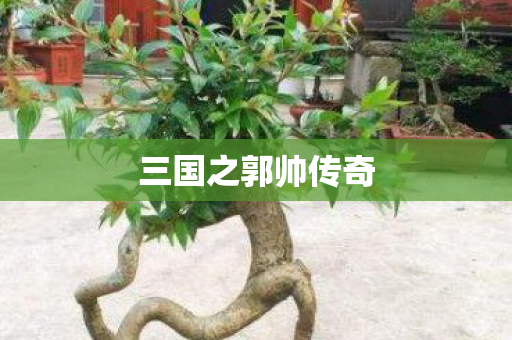 三国之郭帅传奇