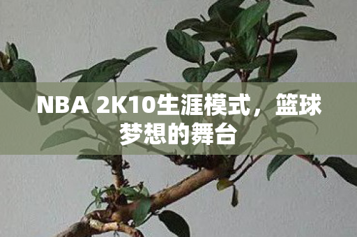 NBA 2K10生涯模式，篮球梦想的舞台