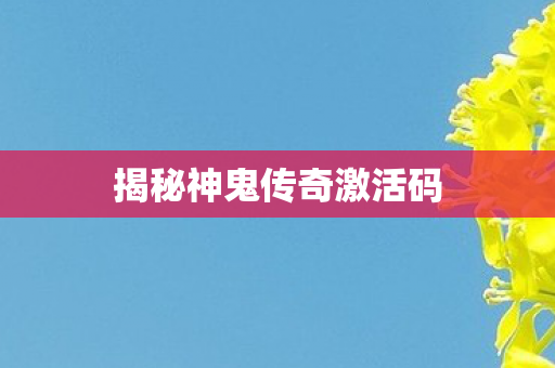 揭秘神鬼传奇激活码