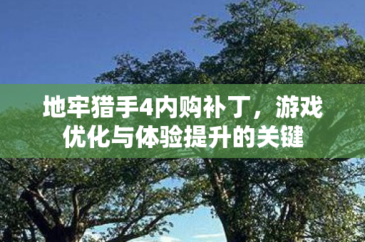 地牢猎手4内购补丁，游戏优化与体验提升的关键