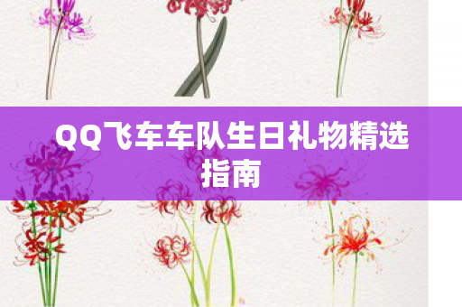 QQ飞车车队生日礼物精选指南