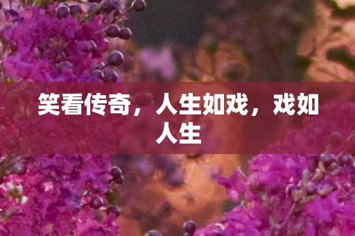 笑看传奇，人生如戏，戏如人生