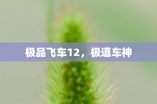 极品飞车12，极道车神