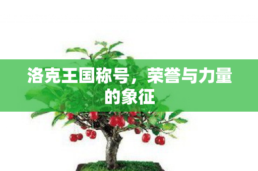 洛克王国称号，荣誉与力量的象征